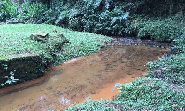 Quando 5 milhões de pessoas dependem apenas de outras 7 mil