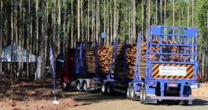 Librelato leva para a Expoforest o tritrem florestal, mais recene lançamento da empresa para o transporte de madeira