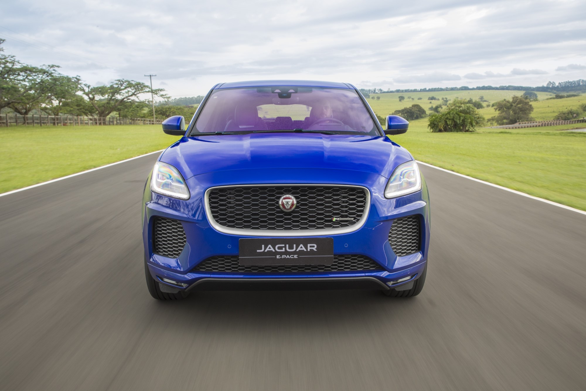 Jaguar tem desempenho global recorde