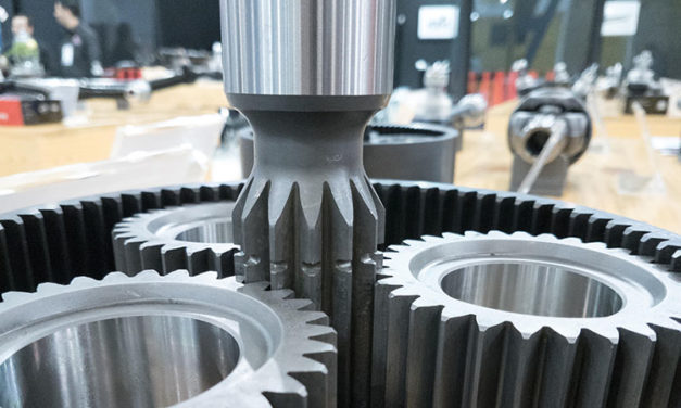 Mauris commodo viverra libero