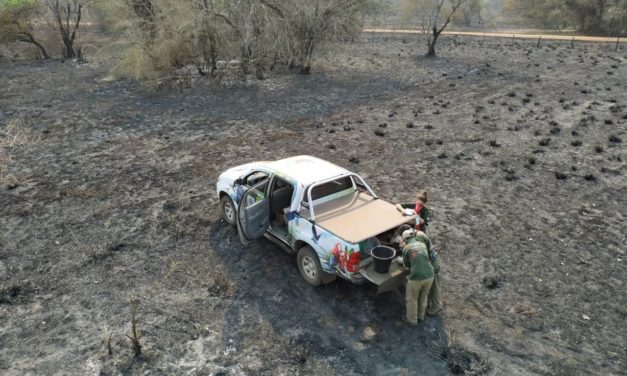 Com queimada, Toyota reforça campanha do projeto Arara Azul