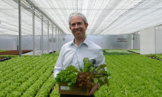 Mercedes-Benz agora também produz alimento