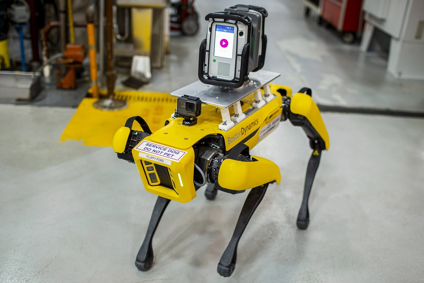Ford testa cães robôs em programa piloto nos EUA