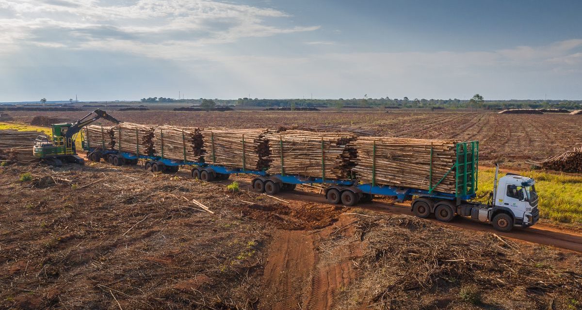 Volvo FMX completa 10 anos desde o lançamento