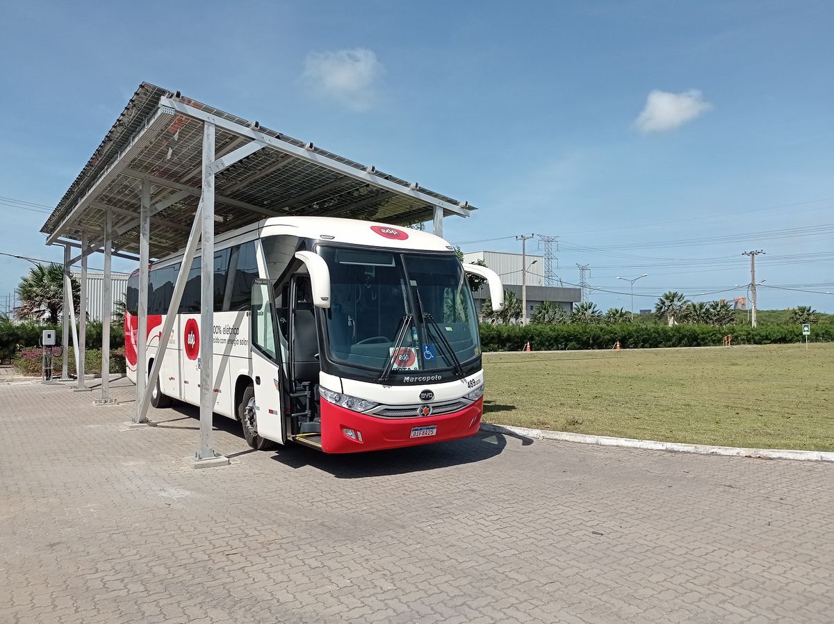 EDP - BYD - Ônibus - Energia solar - Pecém - Ceará - Foto BYD