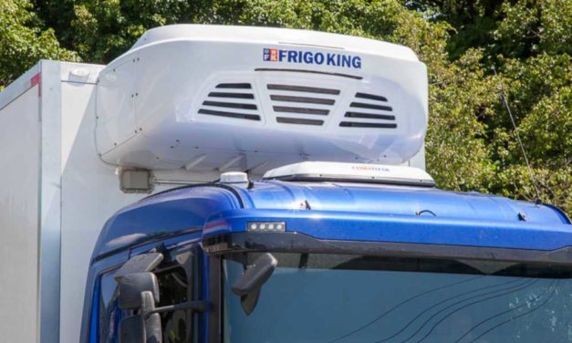 Frigo King apura crescimento de 26% no faturamento de 2020