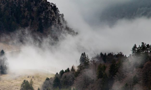 Anfavea prevê alta de 25% na produção, mas ainda vê neblina pela frente