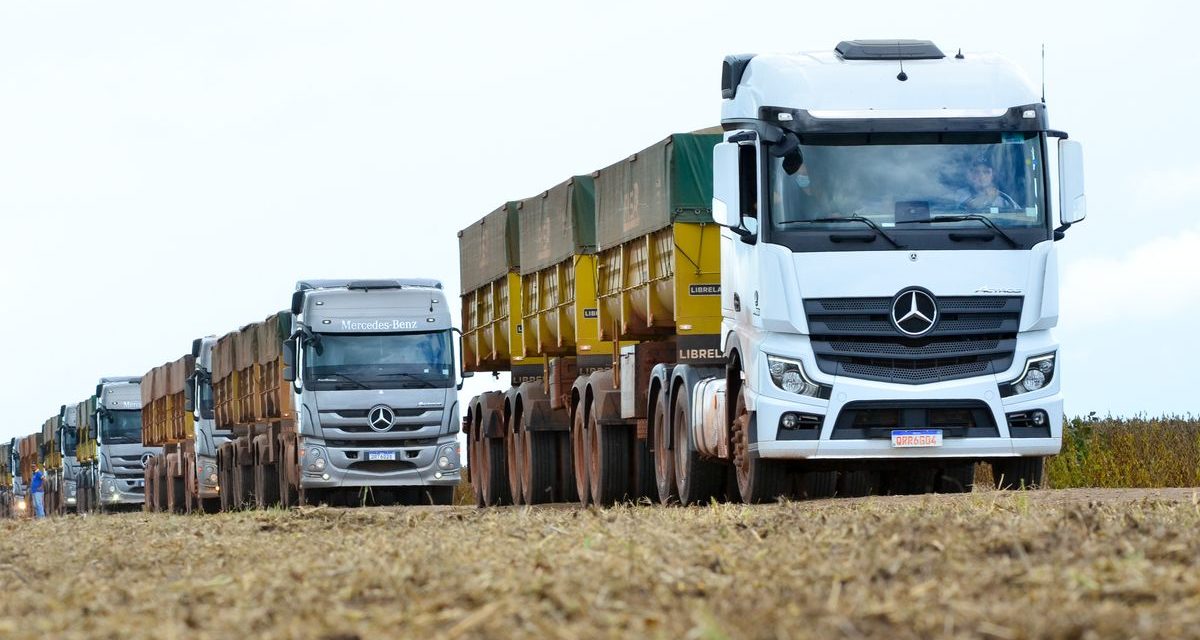 Mercedes-Benz Actros protagoniza abertura de colheita do Grupo Risa