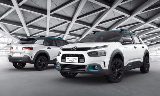 Citroën lança série C4 Cactus Rip Curl