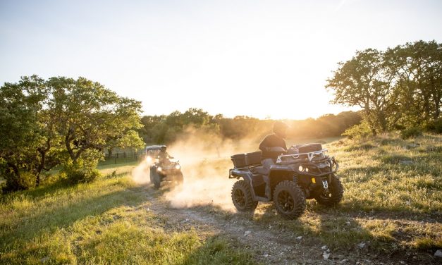 Abeifa amplia atuação com categoria de veículos recreativos