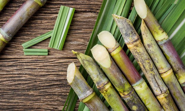 Volkswagen quer etanol como fonte complementar para a eletrificação