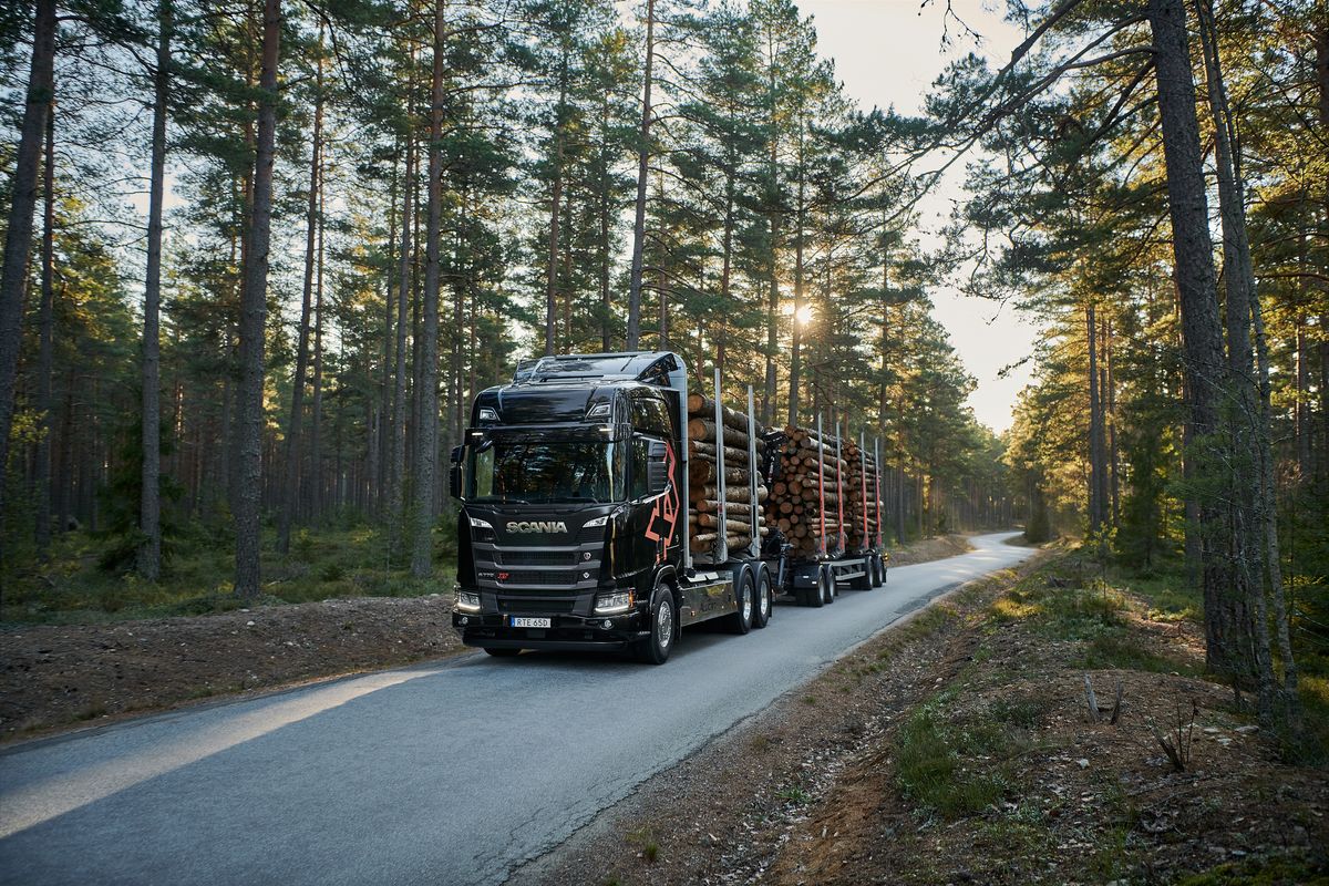 Scania - transporte de madeira