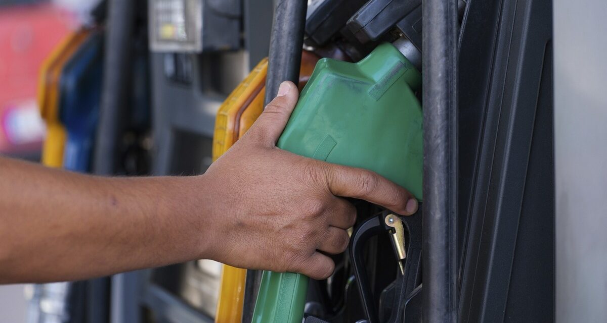 Government resumes biodiesel mix increase with a new schedule