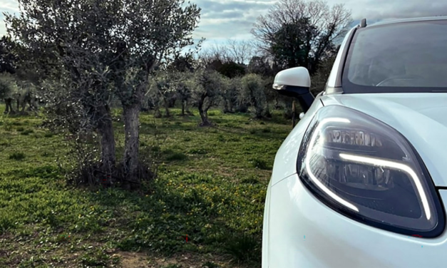 Ford desenvolve autopeças com resíduos de oliveira