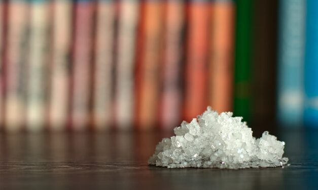 Stellantis aposta em baterias de íons de sódio