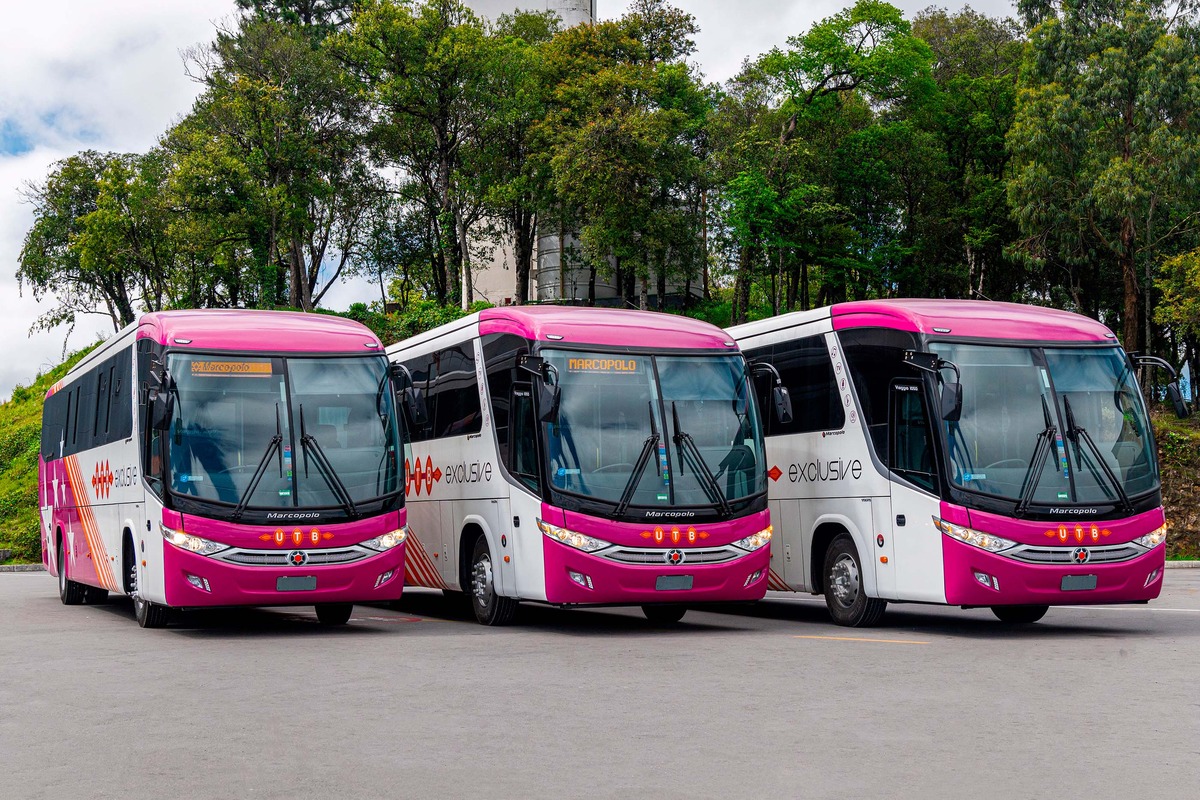 Marcopolo entrega 46 ônibus na Costa do Marfim