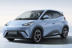 BYD Dokphin Mini