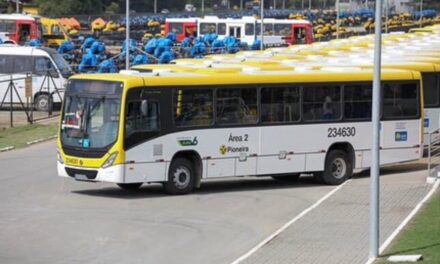 Viação Pioneira renova frota com 444 chassis Mercedes-Benz