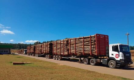 Manos Implementos aprimora o Megatrem