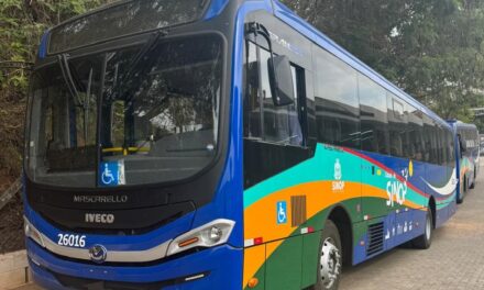 Viação Rosa amplia frota com Iveco Bus