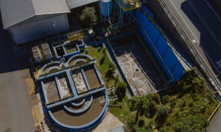 Randoncorp e Frasle batem metas públicas da agenda ESG
