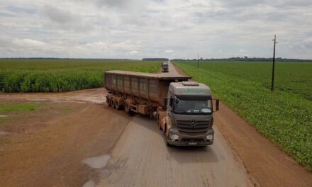 Botuverá amplia frota com 36 novos Mercedes-Benz Axor